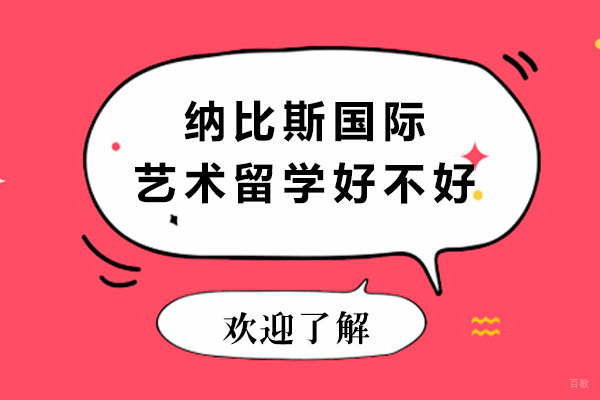 上海艺术留学-上海纳比斯国际艺术留学好不好