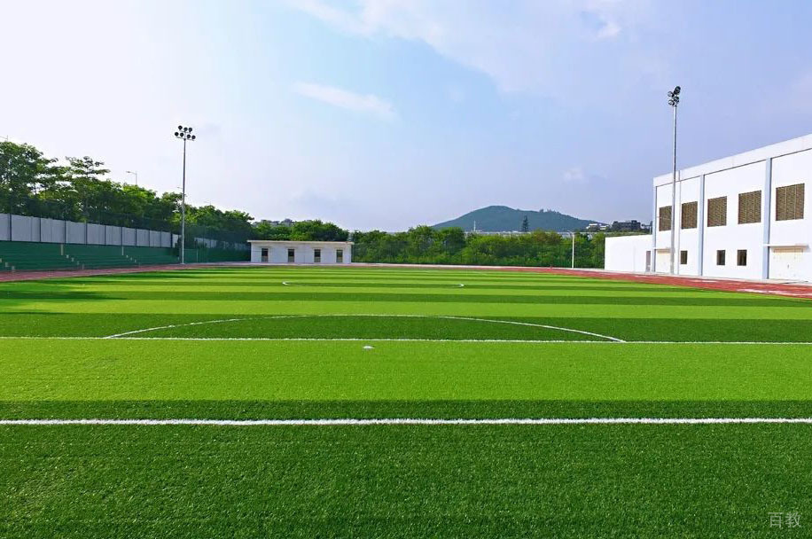 运动场环境