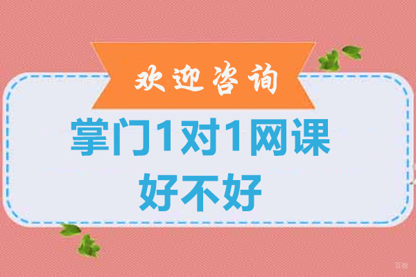 南京掌门1对1网课好不好-怎么样