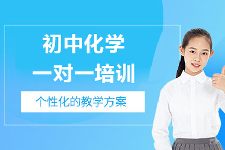 北京初中化学一对一培训班