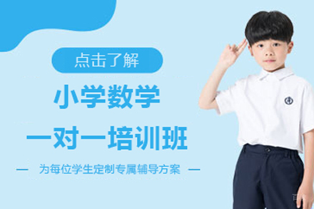 北京小学数学一对一培训班