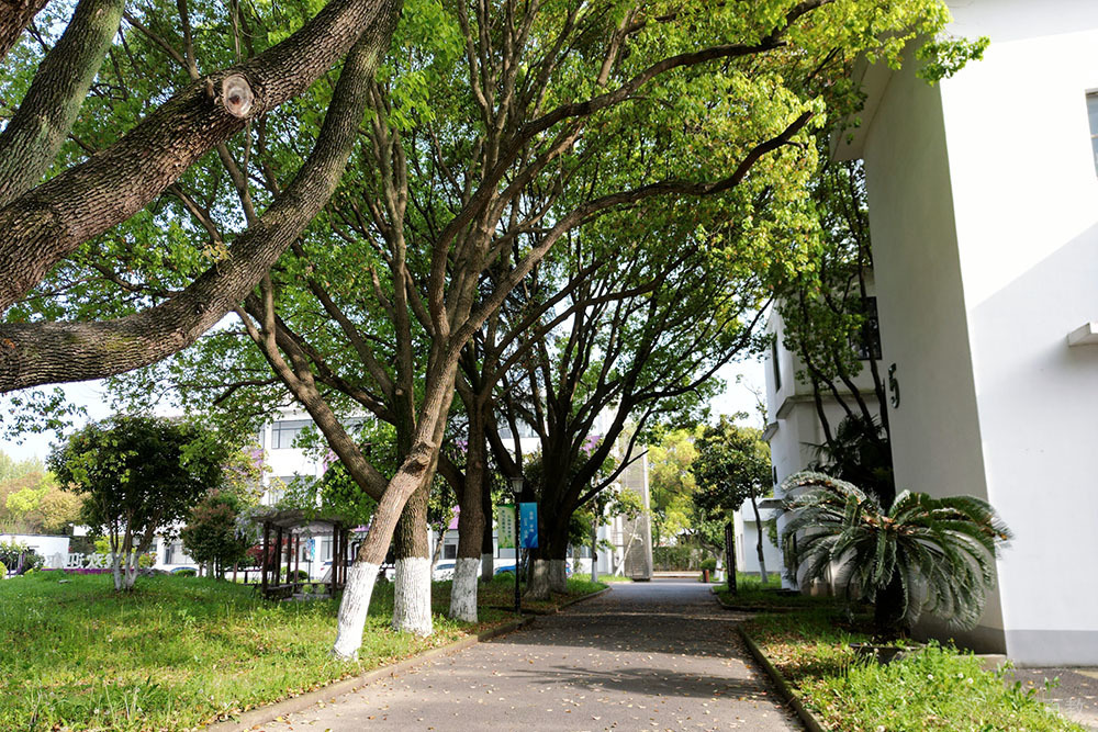 上海常青国际高中学校环境
