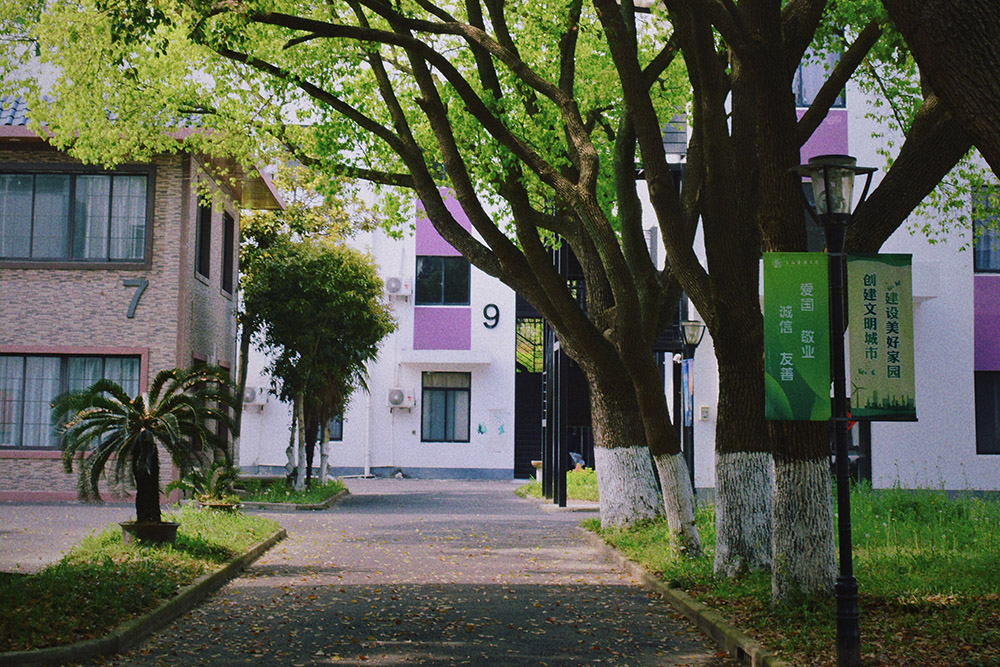 上海常青國(guó)際高中校園環(huán)境一角