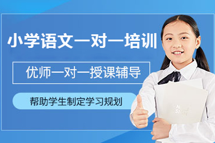 北京小学语文一对一培训班