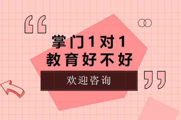 上海掌門1對(duì)1教育好不好-上海掌門1對(duì)1教育怎么樣