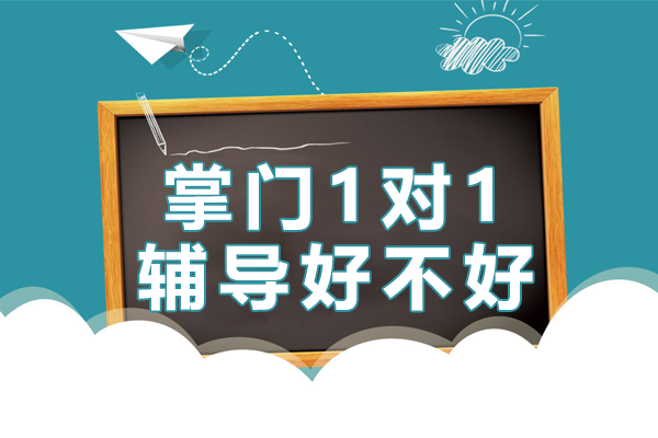 北京掌门1对1辅导好不好