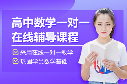 北京高中数学一对一在线辅导课程