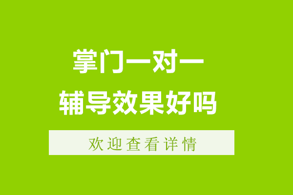 掌門一對一輔導效果好嗎-靠不靠譜？