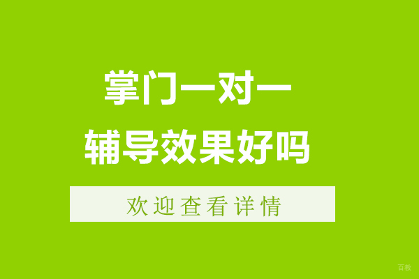 掌门一对一辅导效果好吗-靠不靠谱？