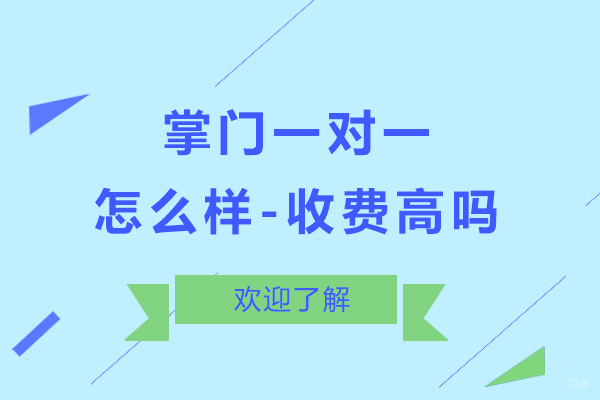 掌门一对一怎么样-费用高吗