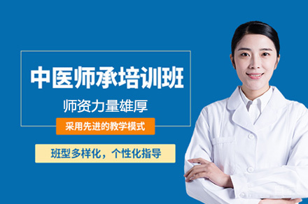 西安中医师承培训班
