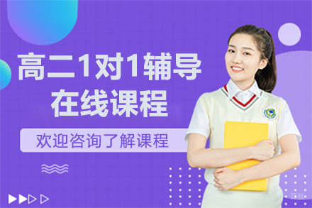 北京高二1对1辅导在线课程