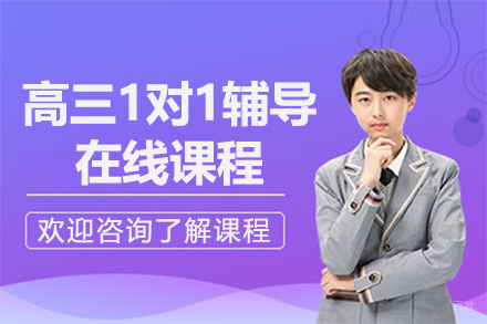 北京高三1对1辅导在线课程