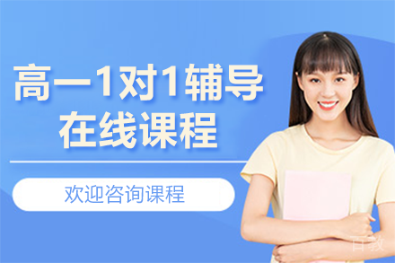北京高一1对1辅导在线课程