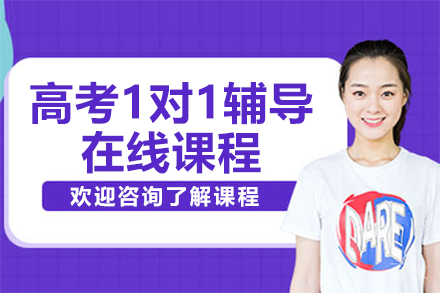 北京高考1对1辅导在线课程