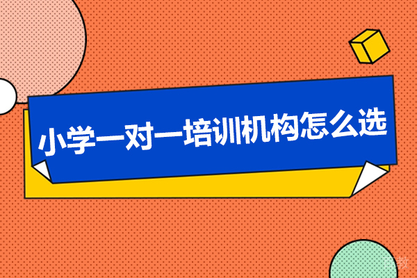 东莞小学一对一培训机构怎么选-小学培训机构哪家好