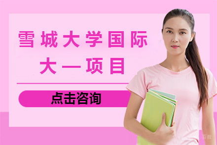 上海雪城大学国际大—项目招生简章