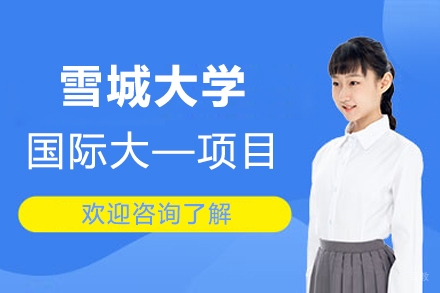上海雪城大学国际大—项目招生简章