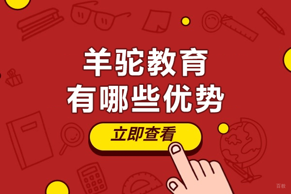 天津羊驼教育有哪些优势-天津羊驼教育怎么样