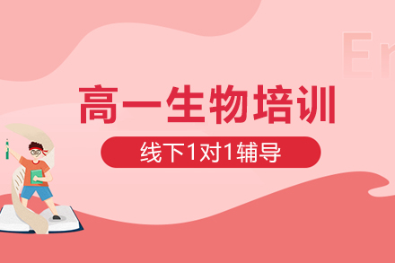 石家庄高一生物1对1培训班