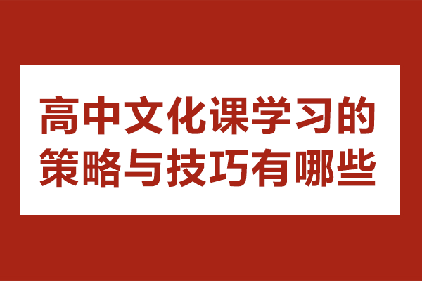 高中文化課學(xué)習(xí)的策略與技巧有哪些