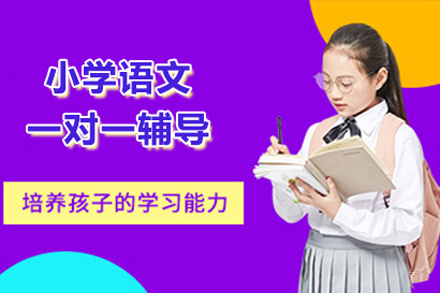 北京小学语文一对一辅导