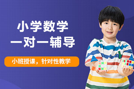 北京小学数学一对一辅导