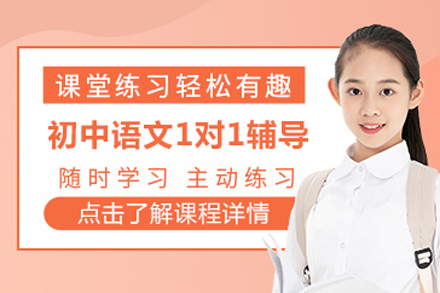 北京初中语文一对一辅导