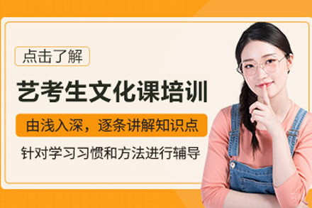 北京艺考生文化课培训班