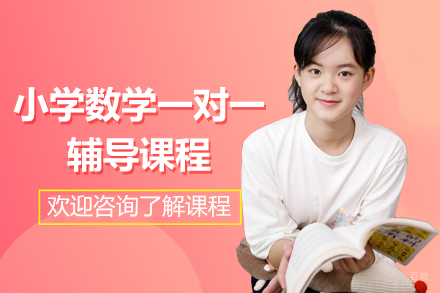 北京小学数学一对一辅导课程