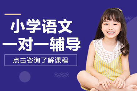 北京小学语文一对一辅导课程