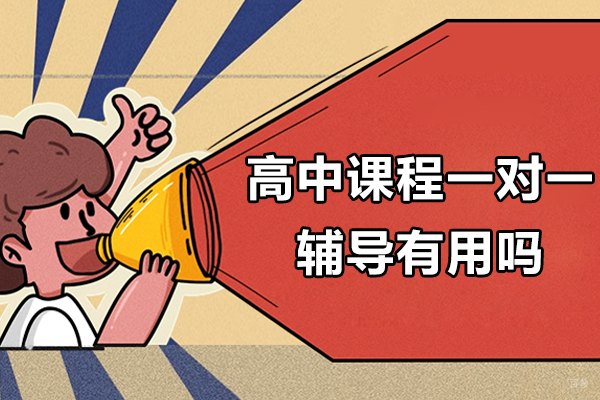 高中课程一对一辅导有用吗-来希望学网课