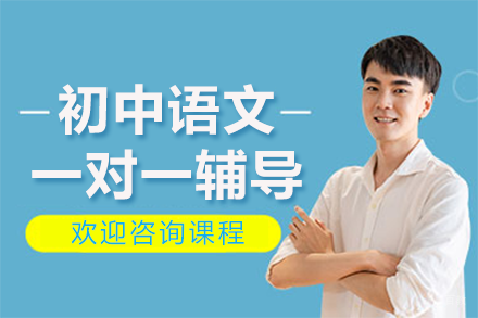 北京初中语文一对一辅导班