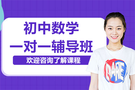 北京初中数学一对一辅导班