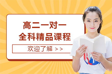 上海高二一对一全科精品课程