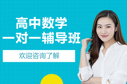 北京高中数学一对一辅导班
