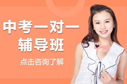 北京中考一对一辅导班