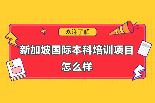 新加坡国际本科培训项目怎么样