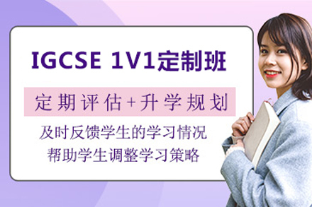北京IGCSE一对一培训班