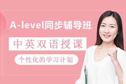 北京alevel同步辅导班