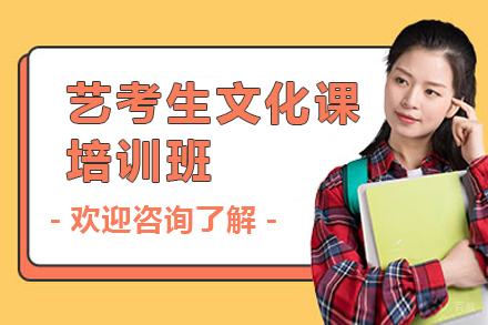 广州艺考生文化课培训班