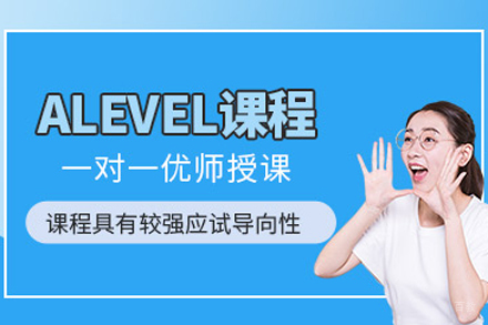 北京alevel一对一培训班