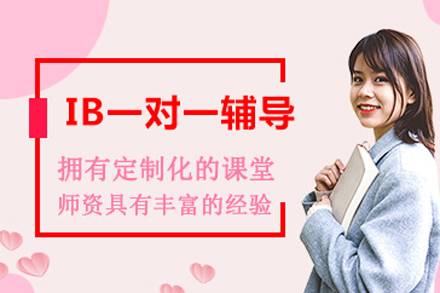 北京IB一对一培训班