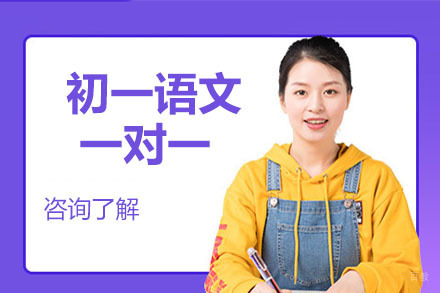 初一语文一对一