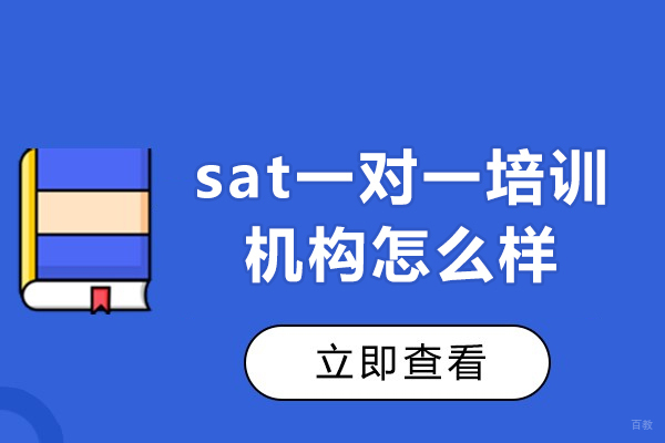 厦门sat一对一培训机构怎么样