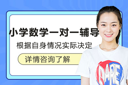小学数学一对一辅导