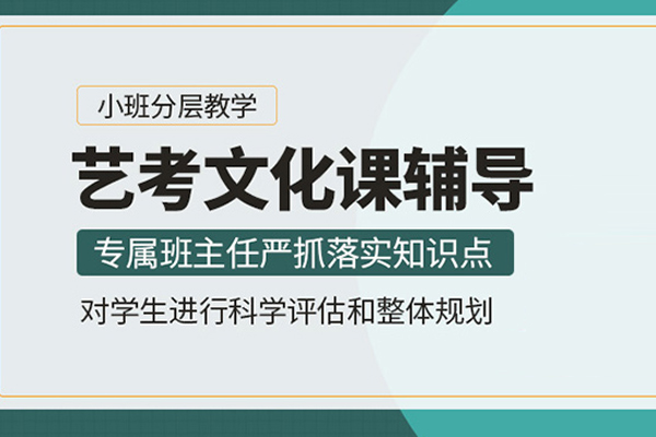 北京艺考文化课辅导班