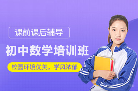 北京初中数学培训班
