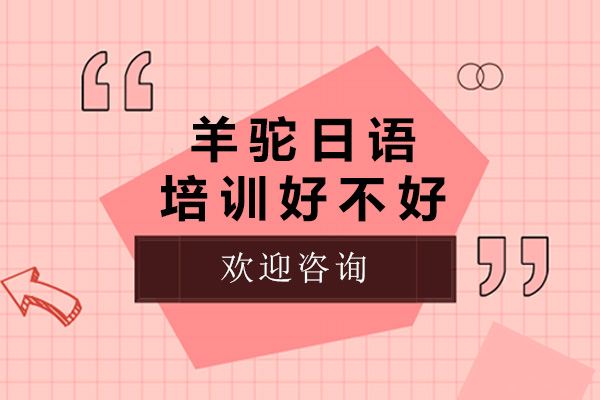 濟南-濟南羊駝日語(yǔ)培訓好不好