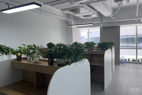 北京囊萤教育校区环境展示